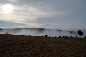 Naklejka na ściany i meble Nebel auf dem Schauinsland