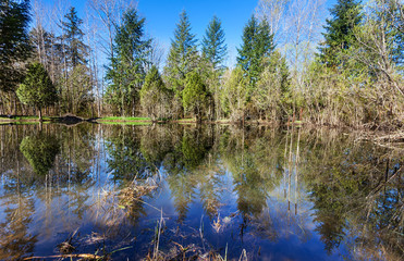 Obraz premium Stormwater retention pond