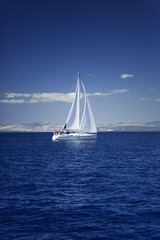 Fototapeta premium Sailing