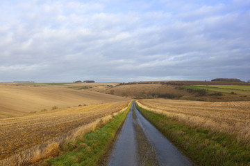 country road and farmland