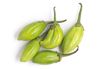 Jilo Scarlet. African Eggplant