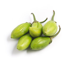 Jilo Scarlet. African Eggplant