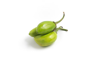 Jilo Scarlet. African Eggplant