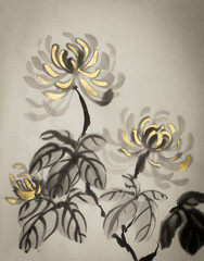 chrysanthemum flower with golden petals