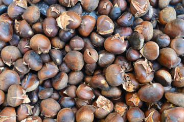 Roasted edible chestnuts