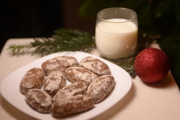 Milk and Cookies for Santa Claus