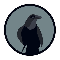 Raven vector illustration style Flat