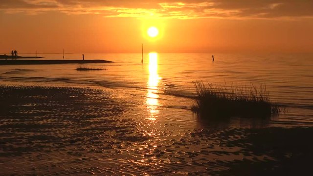 Wattenmeer, &Ouml;kosystem Watt, Nationalpark, Rippelmarken, 4k