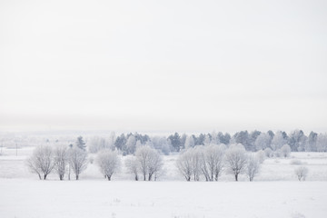 winter russian field