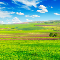 Naklejka premium beautiful rural landscape with blue sky