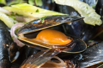 European style baked mussels
