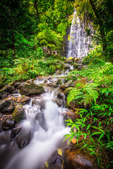 Gorgeous cascading Hawaiian waterfall