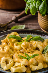 Tortellini with cheese sauce