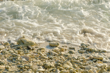 Sandy beach in Curacao a Caribbean Island