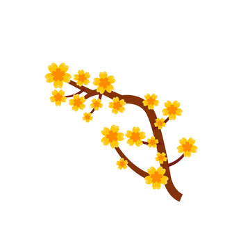 Branch Of Yellow Apricot Flower Icon