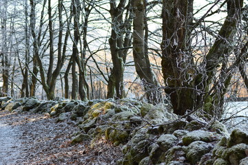Felsenwall am Wanderweg