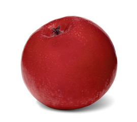 Isolated Red Apple on a White Background