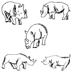 Rhinos. A sketch by hand. Pencil drawing