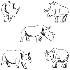 Rhinos. A sketch by hand. Pencil drawing