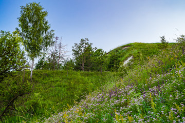 View of the chalk hill and the ancient forest archaeological monument - Krapivinskaya settlement, Belgorod region, Russia.