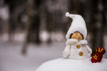 Snow fairy gnome in the forest