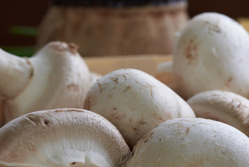 mushrooms on a wooden table