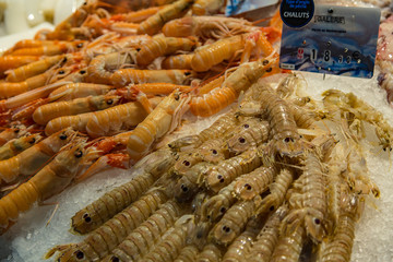 Fresh Shrimp and Crayfish in a French Market
