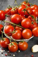 Cherry tomatoes on branch and spice on a dark background