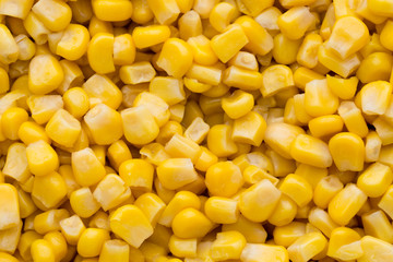 Bulk of yellow corn grains texture.