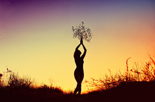 Silhouette of beautiful young woman holding a bouquet over her head at sunset in the