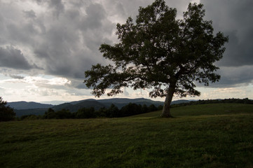 Obraz premium Mountain View