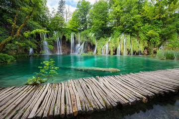Beautiful waterfall in summer green forest