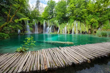 Poster Beautiful waterfall in summer green forest © Nickolay Khoroshkov