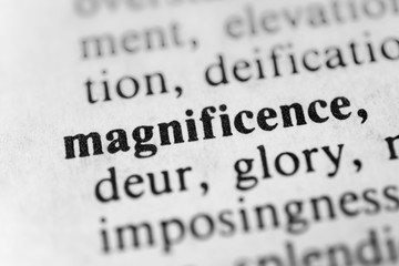 Obraz premium Magnificence