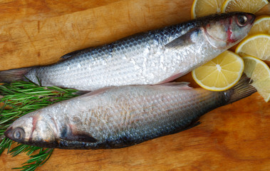 Two raw fresh grey mullet fishes lies on light wooden table with