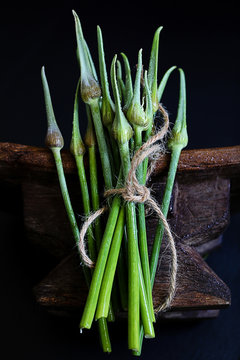 Bunch of garlic scapes 