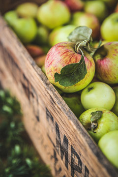 Green and red apples in crate 