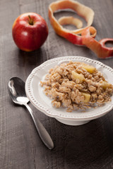 Apple walnut cinnamon oatmeal in a white bowl 