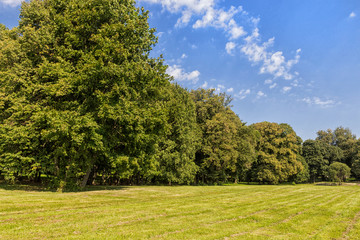 old park with green lawns and big trees.