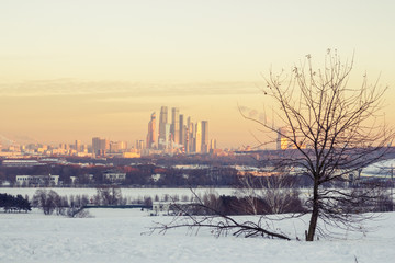 Obraz premium Зимний закат в Москве
