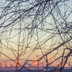 Зимний закат в Москве