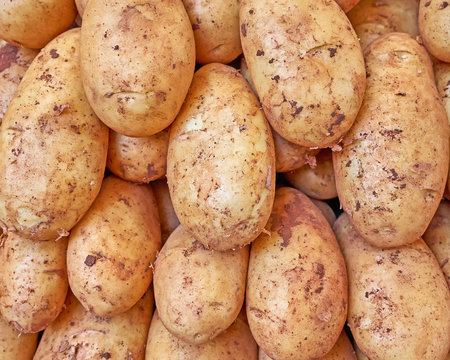 fresh potatoes pile closeup, natural pattern