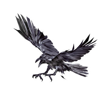 painted black crows attacking