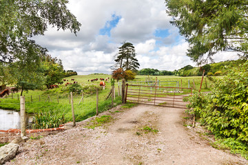 Small farm in Hollingborne, Kent, England