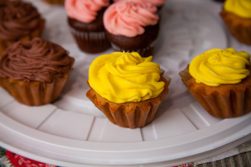 blond business women in black with tulips in hands isolated on white