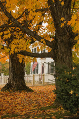 Colonial New England