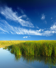 Fototapeta premium Bog landscape with bog pools in the autumn