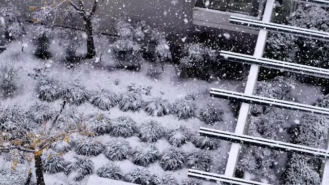 Aerial view of small parterre on cold blizzard snow winter day