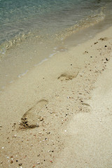 Paradise Beach - Iriomote Jima Island, Okinawa, Japan