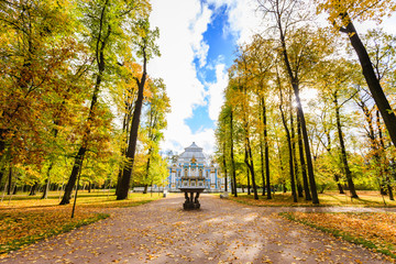 Fall forest at the catherine palace